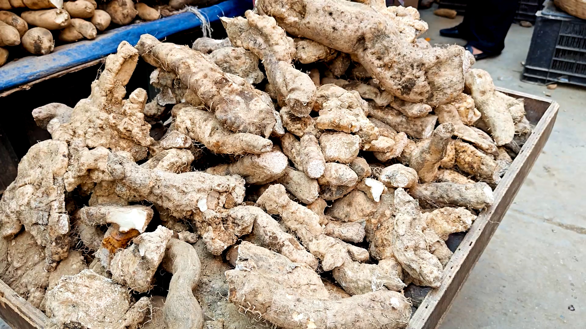 माघे संक्रान्तिका दिन प्रयोग गरिने कन्दमूलको व्यापार घटेको व्यापारीहरूले बताए