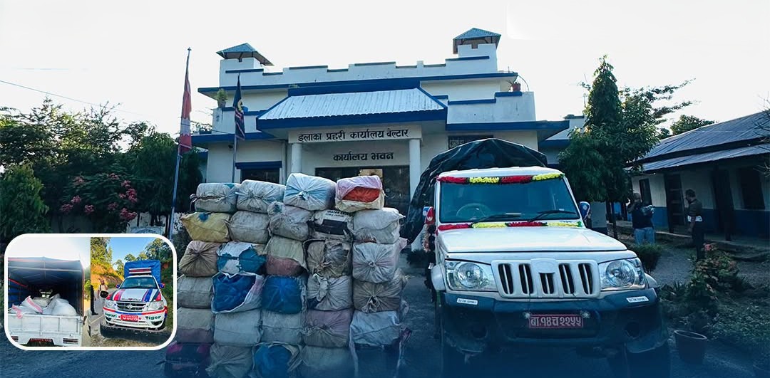 १ हजार ९९ किलो ८४० ग्राम गाँजा बोकेको २ वटा पिकअप सहित १ जना पक्राउ......